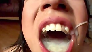 swallow